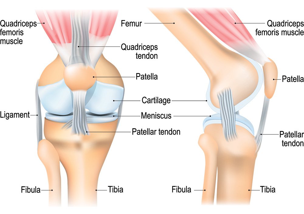 Knee Pain Treatment In Nagpur