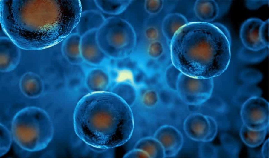 Orthobiologics In Nagpur